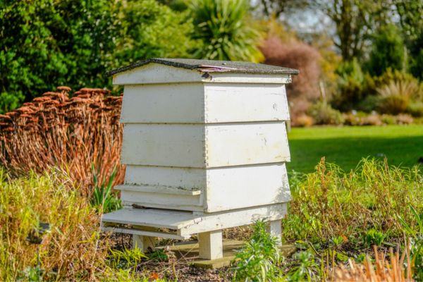 wooden bee hive 