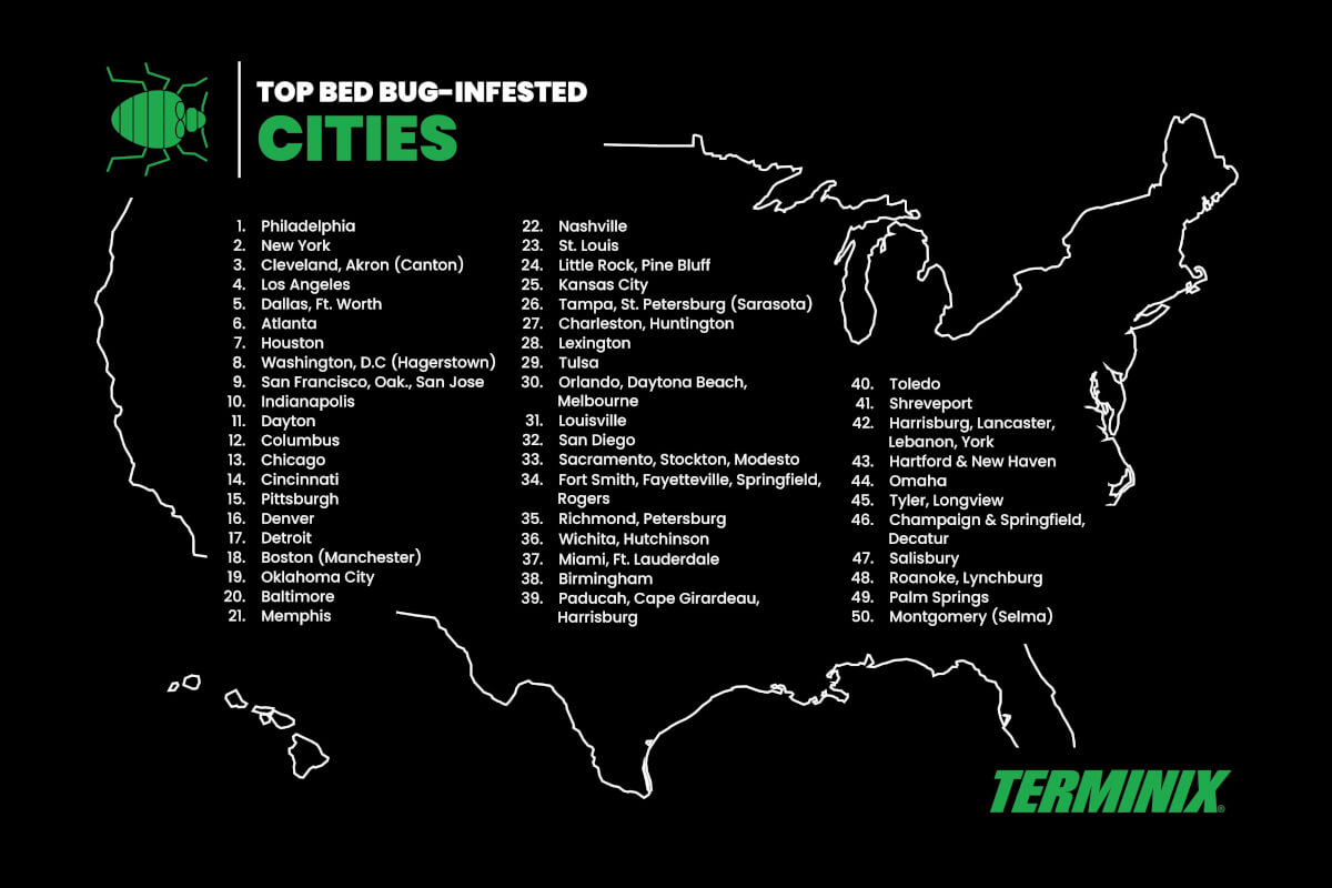 Chart of top bed bug infested cities