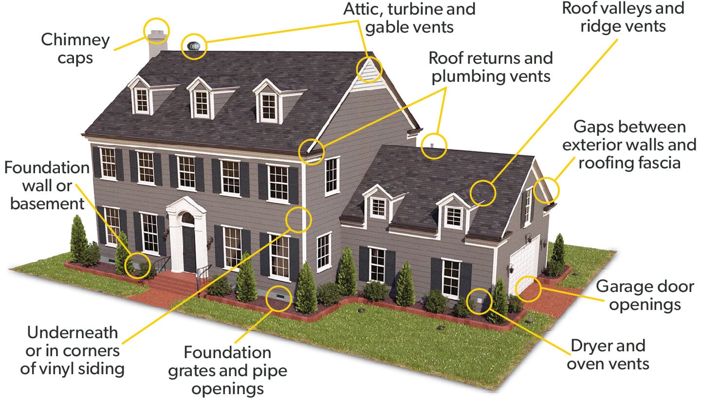Terminix exclusion house infograph
