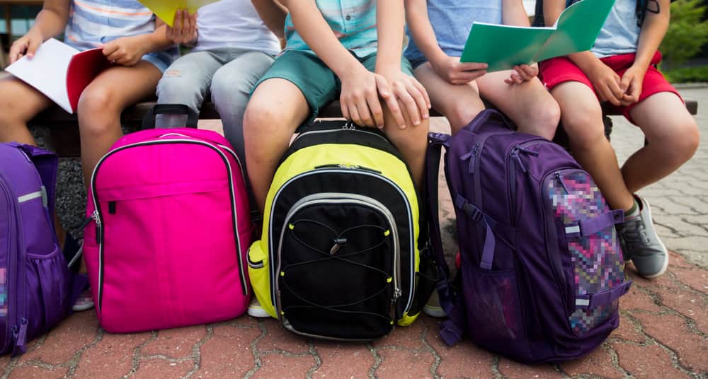 bed-bugs-in-school