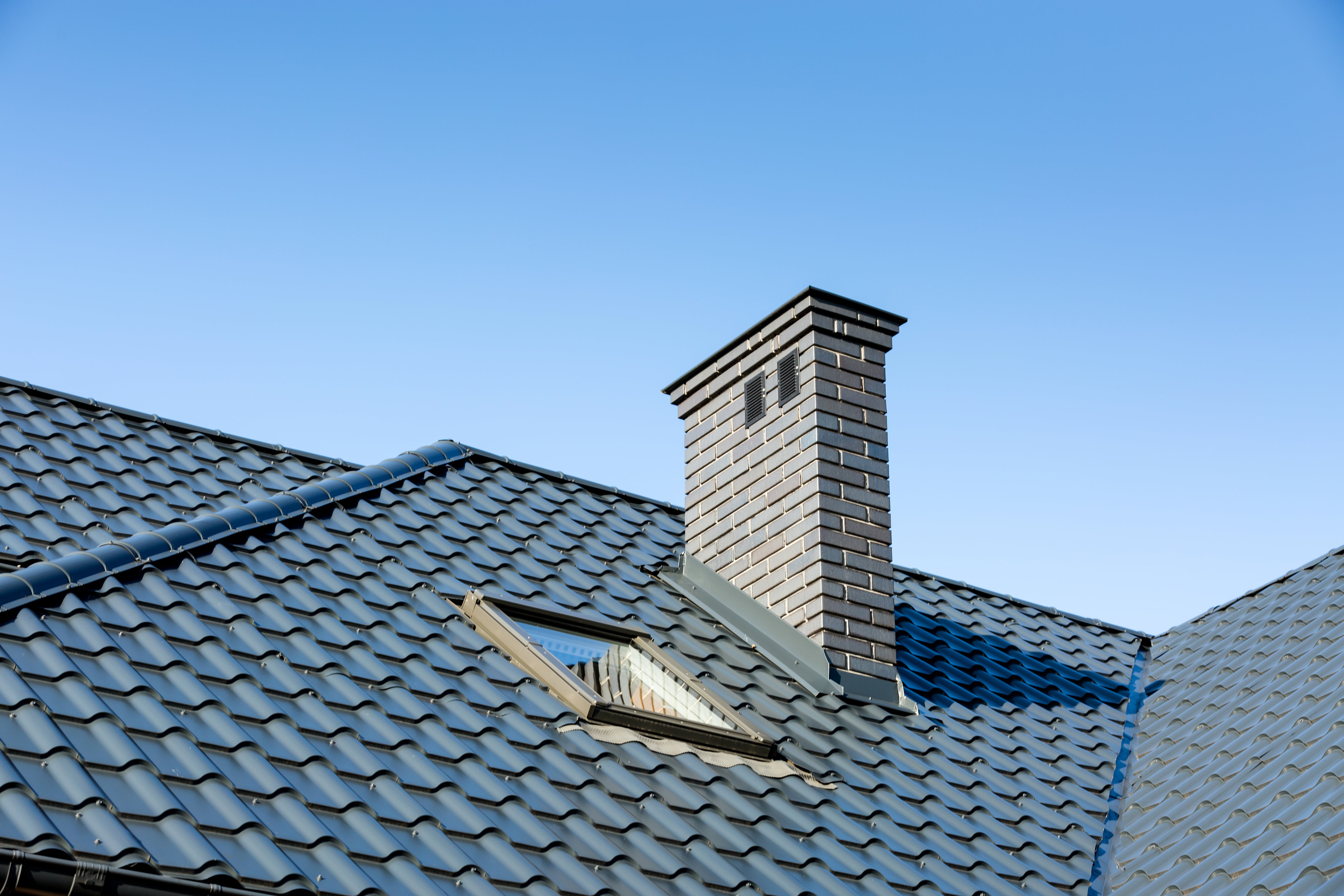 birds in the chimney