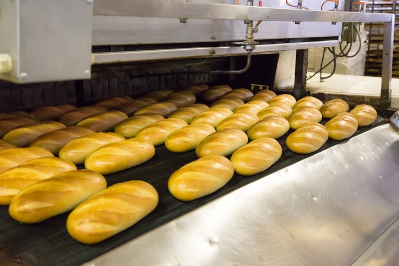 Does Your Food Processing Facility Need Rodent Control?