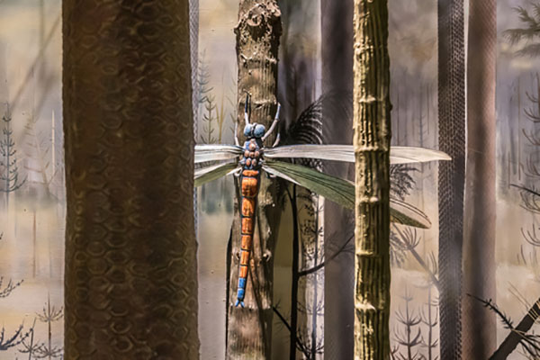 painting of dragonfly on tree
