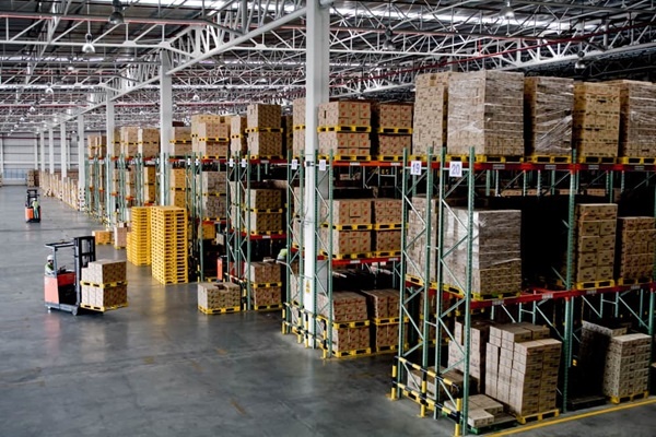 pests in warehouses