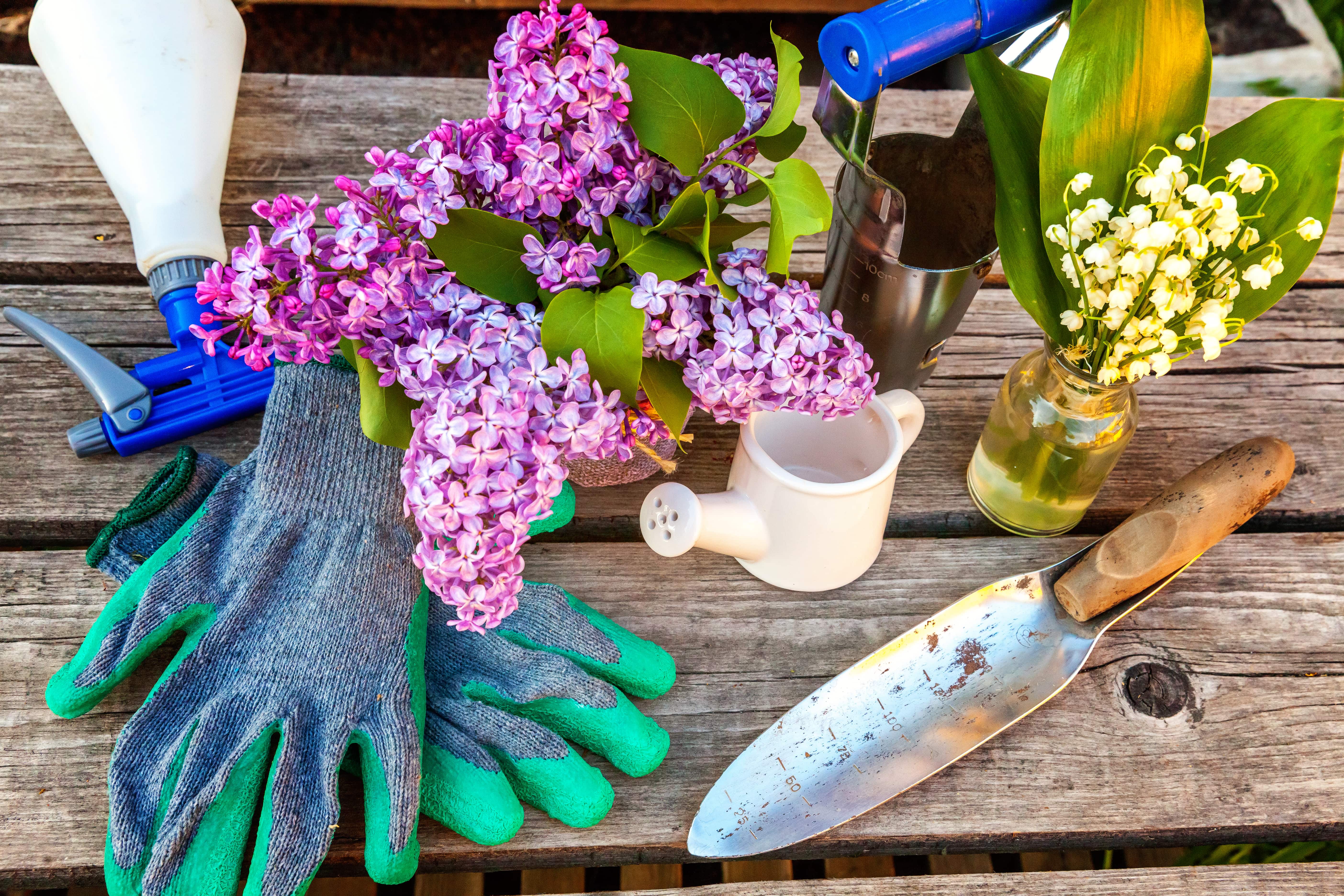 gardening bench with trowel, gloves, watering can, and lilac flowers