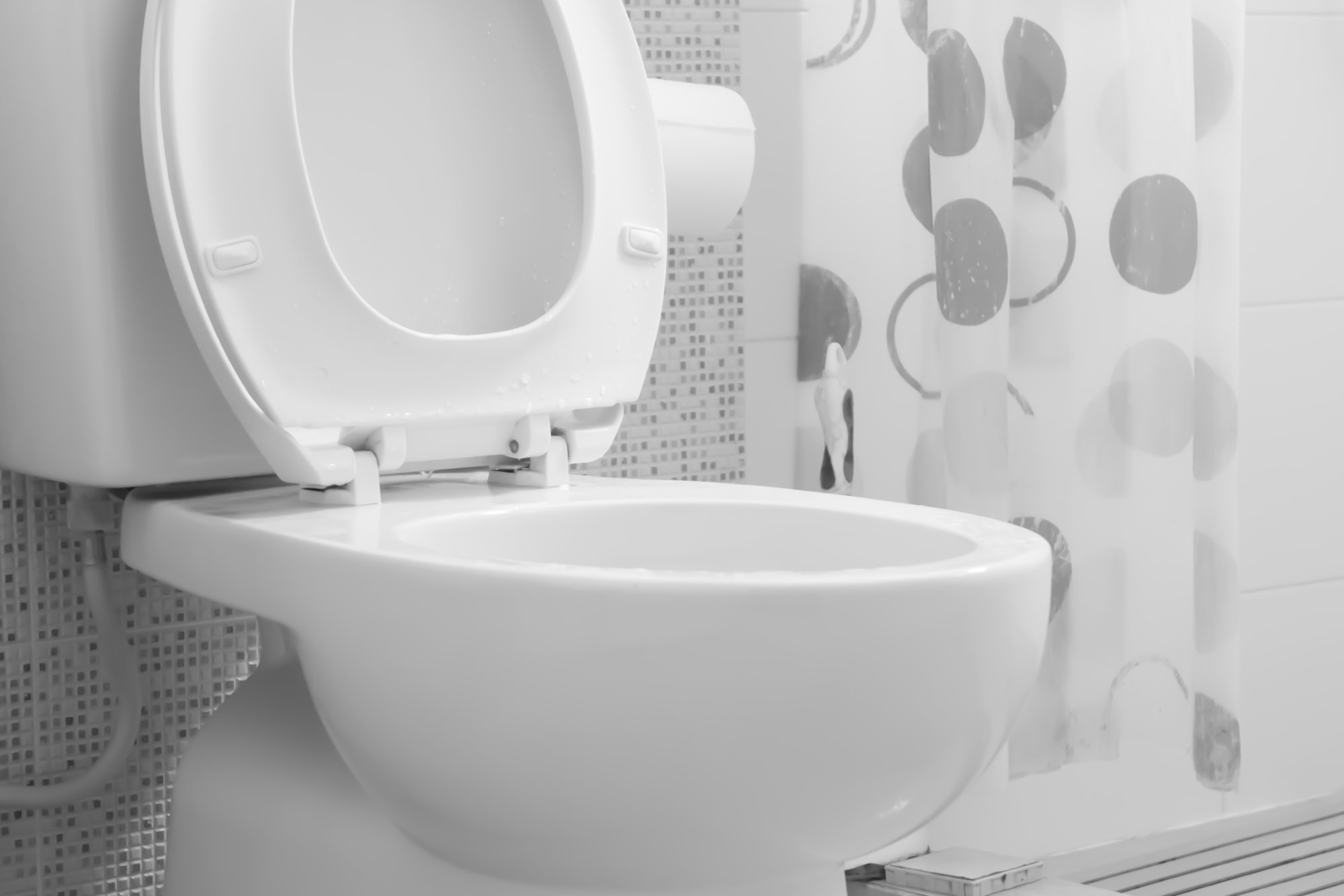 rat-in-toilet-main