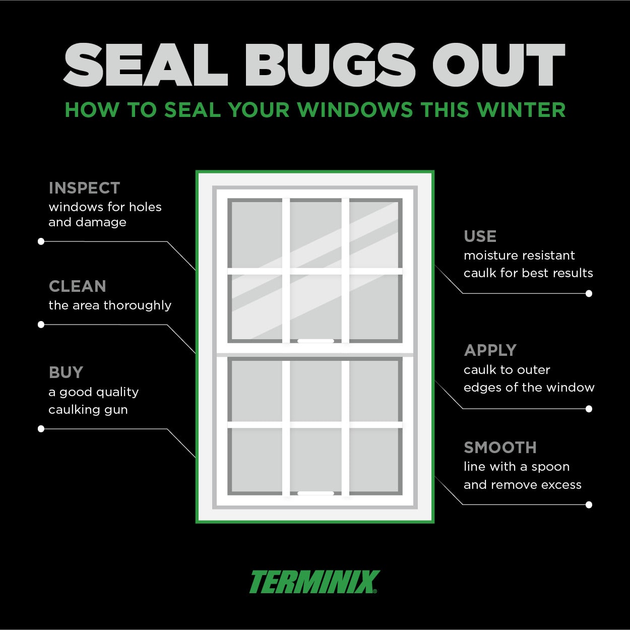 seal bugs out