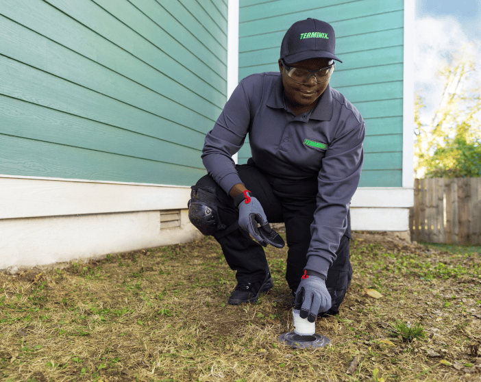 Terminix tech termite treatment