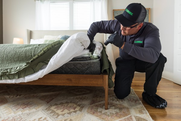 Terminix tech mattress inspection
