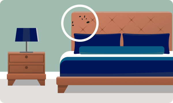 Fecal Spots