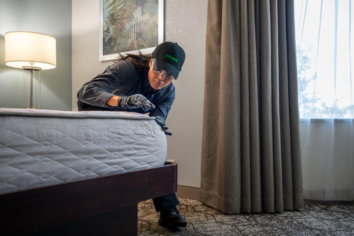 Terminix tech checking bed for bed bugs