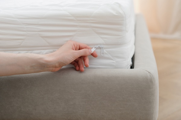 Bed bug mattress cover