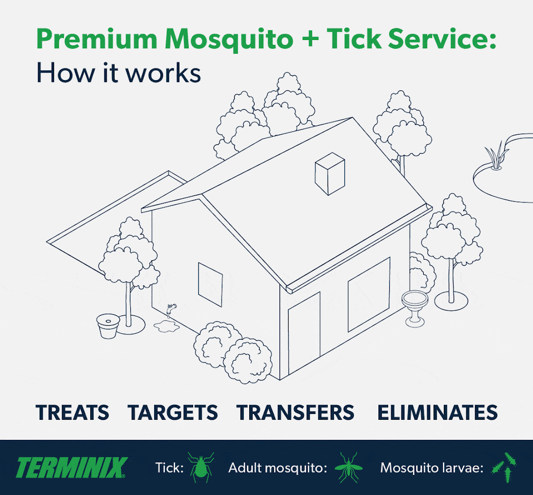 Terminix tech spraying yard