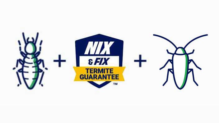 Nix Termite Guarantee