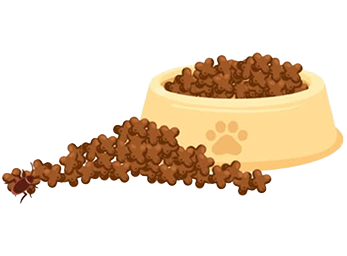 Pet Food
