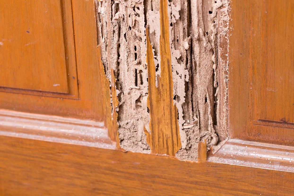 AdobeStock_113710129