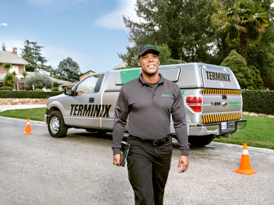 PuteJoy_Tech_Truck