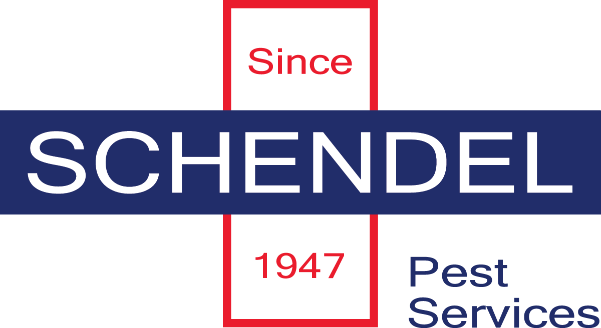  Schendel