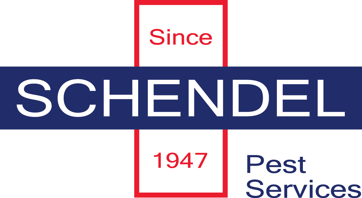 Schendel