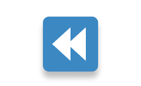 past experience icon
