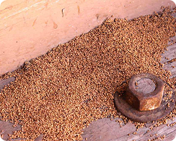 Termite Droppings