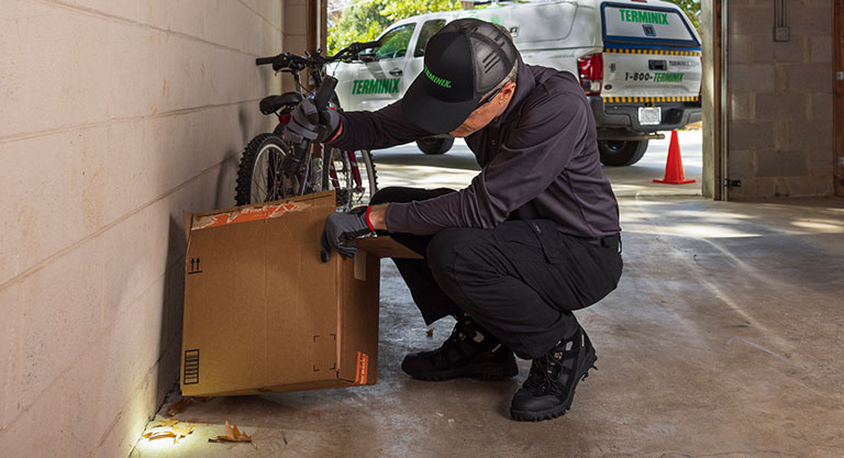 pest control garage