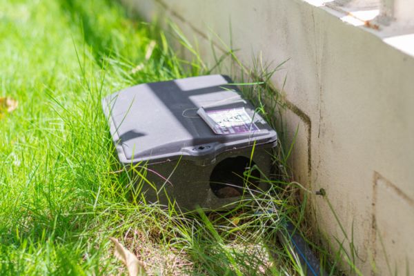 bait station