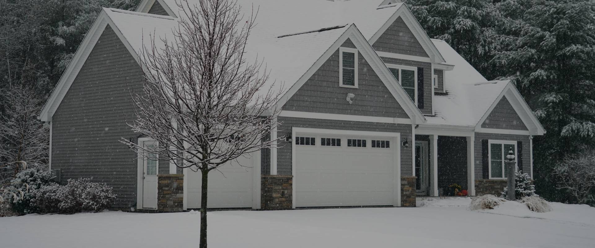 winter image
