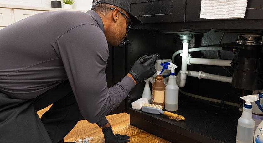 pest control inspection