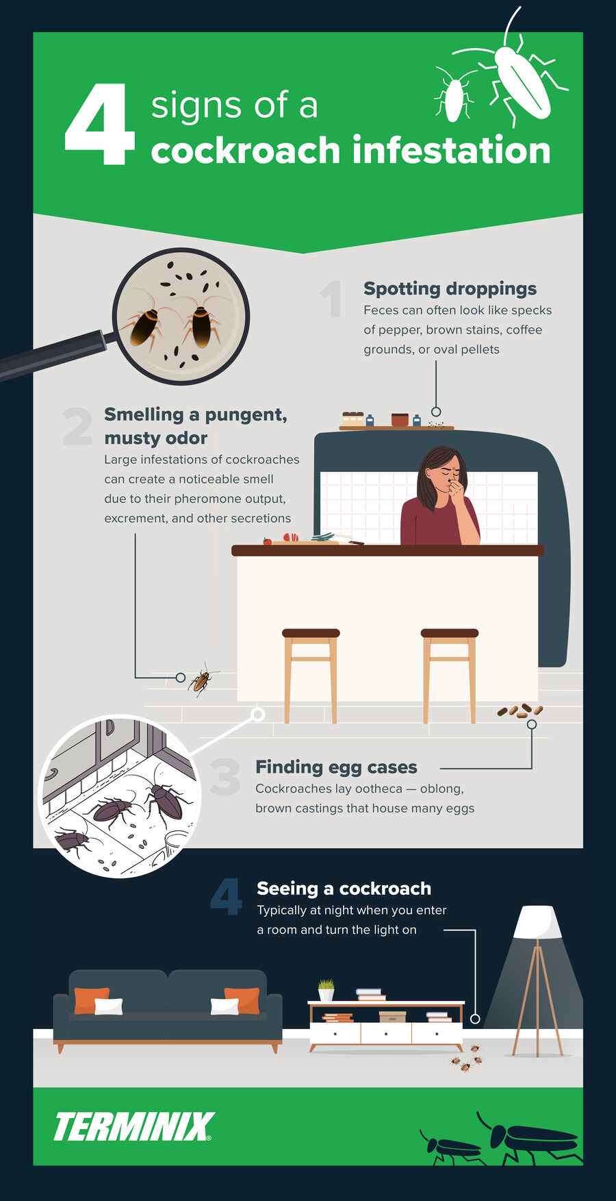 4 signs of cockroach infestation