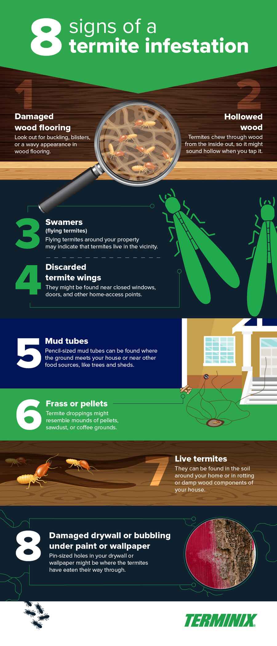 8 signs of a termite infestation