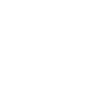 Form icon