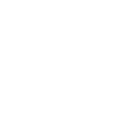Report icon