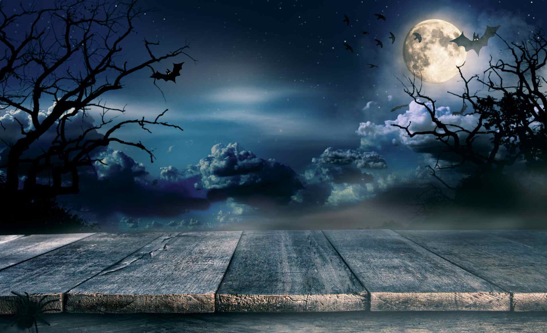 spooky pest control stories