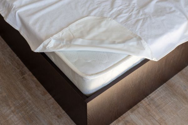 Signs of bed bugs
