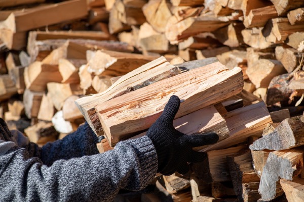 person grabbing firewood tmx
