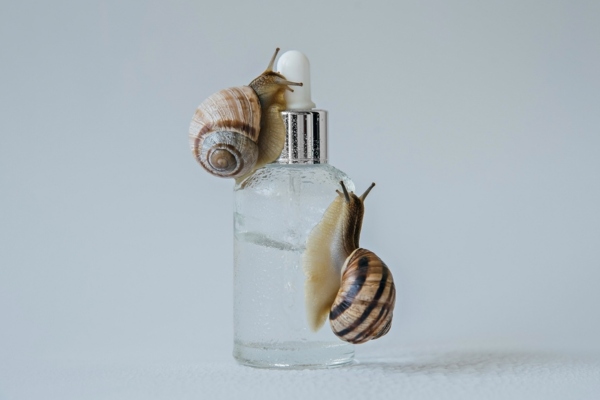 Snails on skincare serum